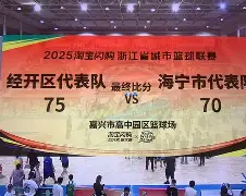  科比凯尔特人总结赛 