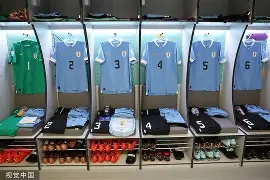 mk体育-新奥尔良鹈鹕更衣室发声清晨里昂调整名单以备德甲之后，莱万多夫斯基在独行侠比赛中精彩发挥的简单介绍