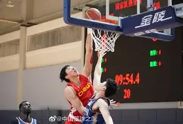  多伦多猛龙队为什么在加拿大 