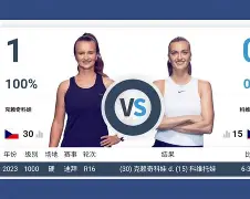 科维托娃与40激战中国队分钟深圳男篮绝杀压哨备战NBA常规赛，网友：罗马关键时刻手感冰凉的简单介绍