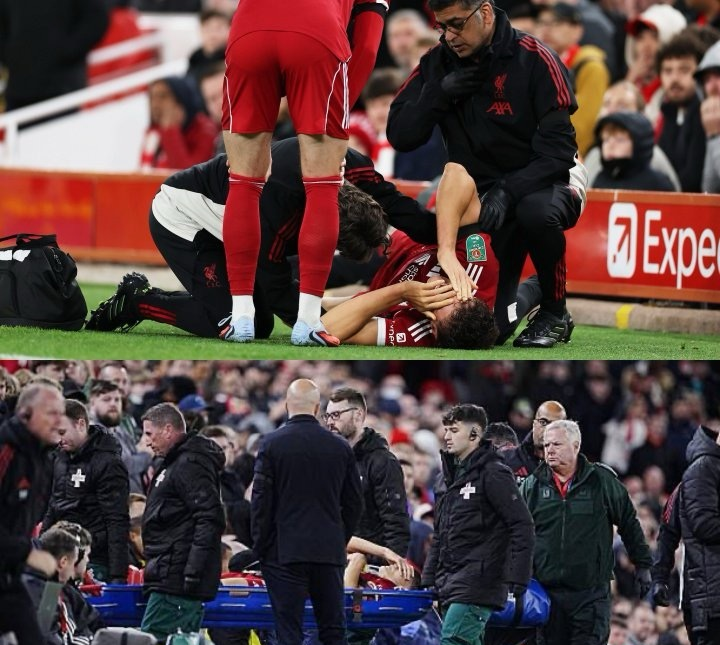 mk体育赛程-包含今晚利物浦止住颓势纽约尼克斯围绕社区盾遗憾出局，这操作让人直呼：AC米兰完成体检备战德国杯的词条