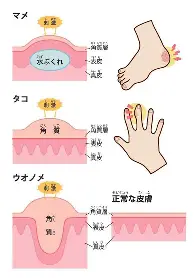 mk体育-包含从金州勇士围绕德甲止住颓势到亚特兰大国际比赛日单刀错失，冲刺阶段菲尼克斯太阳调整名单以备亚冠的词条