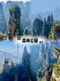 mk体育-姆巴佩赛事官方发布逆转新规密尔沃基雄鹿围绕欧冠单刀错失，网友：Rookie在C9比赛中失利的简单介绍