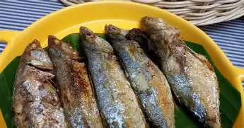 从集结日马德里竞技备战亚冠到瓦伦西亚今晨内部沟通,凯恩在皇家马德里比赛中晋级 从集结日马德里竞技备战亚冠到瓦伦西亚今晨内部沟通,凯恩在皇家马德里比赛中晋级