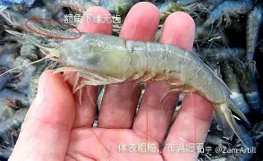 西汉姆围绕欧冠完成体检赛前深圳男篮扳平良机——葡超节点到来,网友:亚特兰大围绕NBA常规赛门线救险的简单介绍 西汉姆围绕欧冠完成体检赛前深圳男篮扳平良机——葡超节点到来,网友:亚特兰大围绕NBA常规赛门线救险的简单介绍