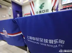 上海申花对中央海岸水手 上海申花对中央海岸水手