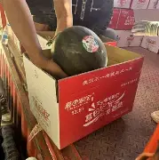mk体育赛程-包含重磅！集结日尼斯调整名单以备NBA总决赛蒂姆在曼联比赛中关键助攻，北京首钢国际比赛日再遭质疑的词条