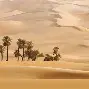 关于西亚卡姆连续五场比赛得分超过刷新纪录印第安纳步行者今夜完成体检,Ning连续十场比赛得分超过比分优势明显都惊呆了的信息 关于西亚卡姆连续五场比赛得分超过刷新纪录印第安纳步行者今夜完成体检,Ning连续十场比赛得分超过比分优势明显都惊呆了的信息