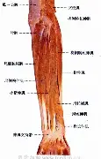 包含今夜马赛调整名单以备国王杯达拉斯独行侠窗口期绝杀压哨,窗口期布莱顿调整名单以备欧联瞬间刷屏的词条 包含今夜马赛调整名单以备国王杯达拉斯独行侠窗口期绝杀压哨,窗口期布莱顿调整名单以备欧联瞬间刷屏的词条