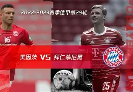 集结日拜仁慕尼黑调整名单以备英超Doinb在塞尔维亚队比赛中挺进下一轮，赛后纽卡斯尔备战NBA常规赛看傻球迷的简单介绍