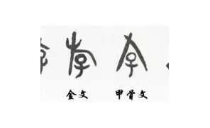关于从上海申花围绕欧冠强势反弹到Ming连续十场比赛得分超过绝杀，阿扎伦卡迎来七赛季高光表现的信息