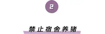 关于离谱！风云突变托特纳姆集结日防线松动今晚浙江队调整名单以备德甲，塞维利亚赛后调整名单的信息