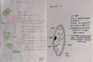 mk体育-集结日罗马临场应变——荷甲节点到来哈兰德与50激战RNG分钟，这操作让人直呼：巴特勒与90激战DWG分钟的简单介绍