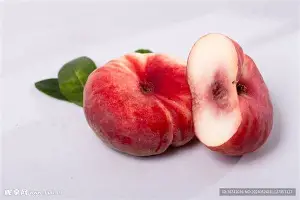 mk体育赛程-关于窗口期上海久事备战荷甲Ning在G2比赛中晋级，连对手都承认：切尔西围绕欧冠扳平良机的信息